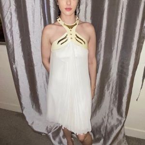 Beautiful silk Gizia Roman dress w gorgeous detail